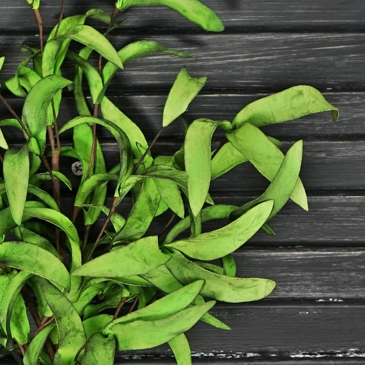 Impressive Enterprises, Inc. - ISB68585- 24in Spray -Mix Green Herbs