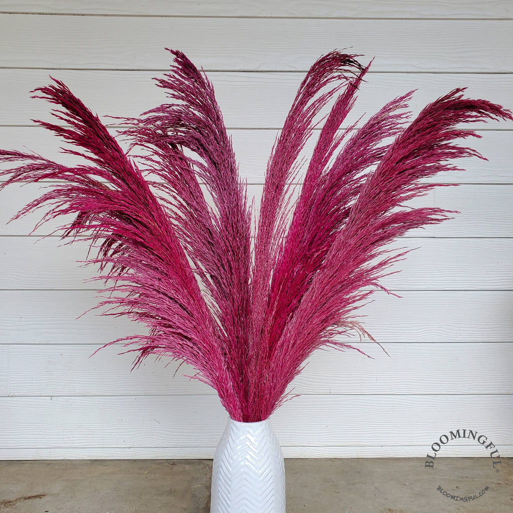 No-Shed Silky Large Pampas (3-4ft) - Pink Magenta