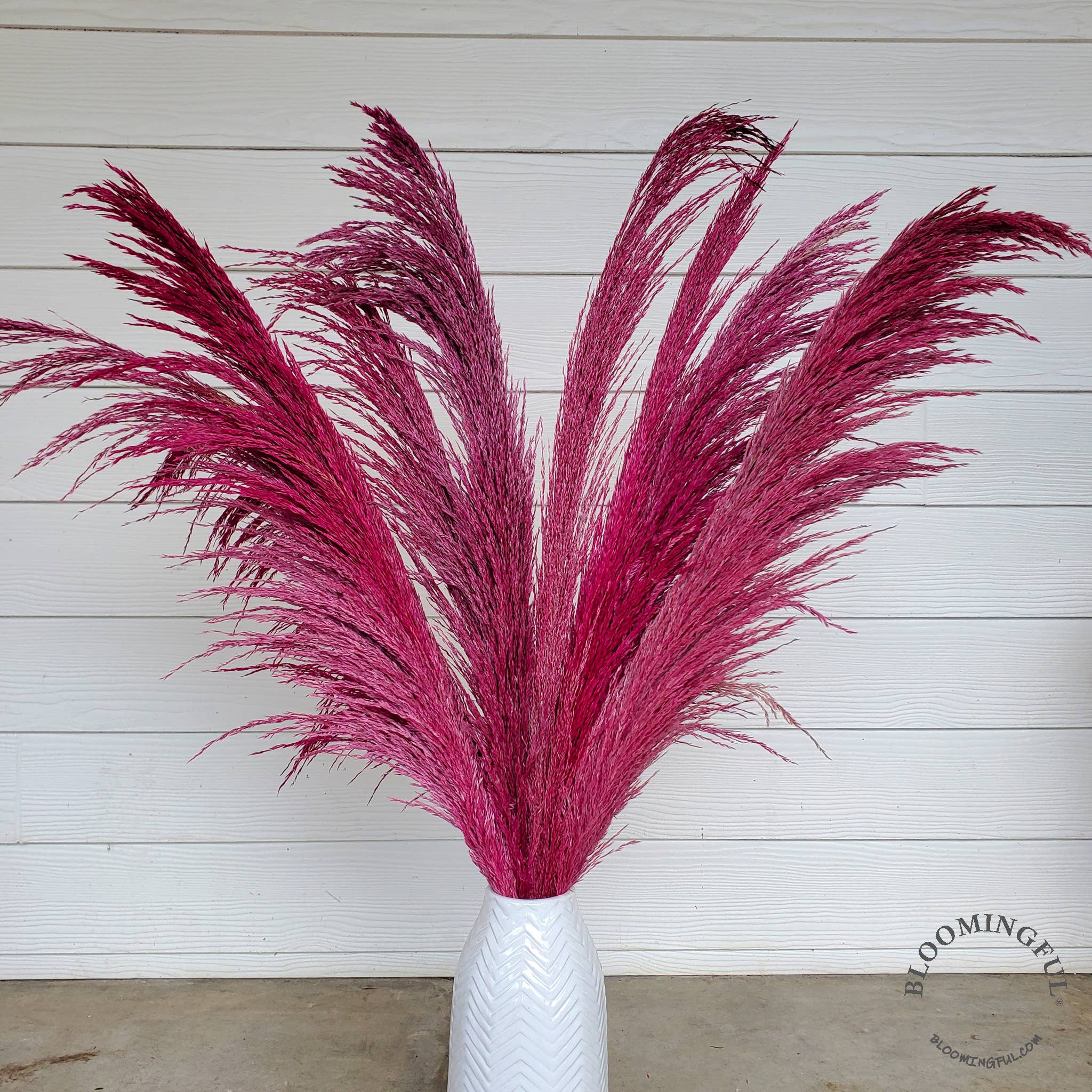 No-Shed Silky Large Pampas (3-4ft) - Pink Magenta