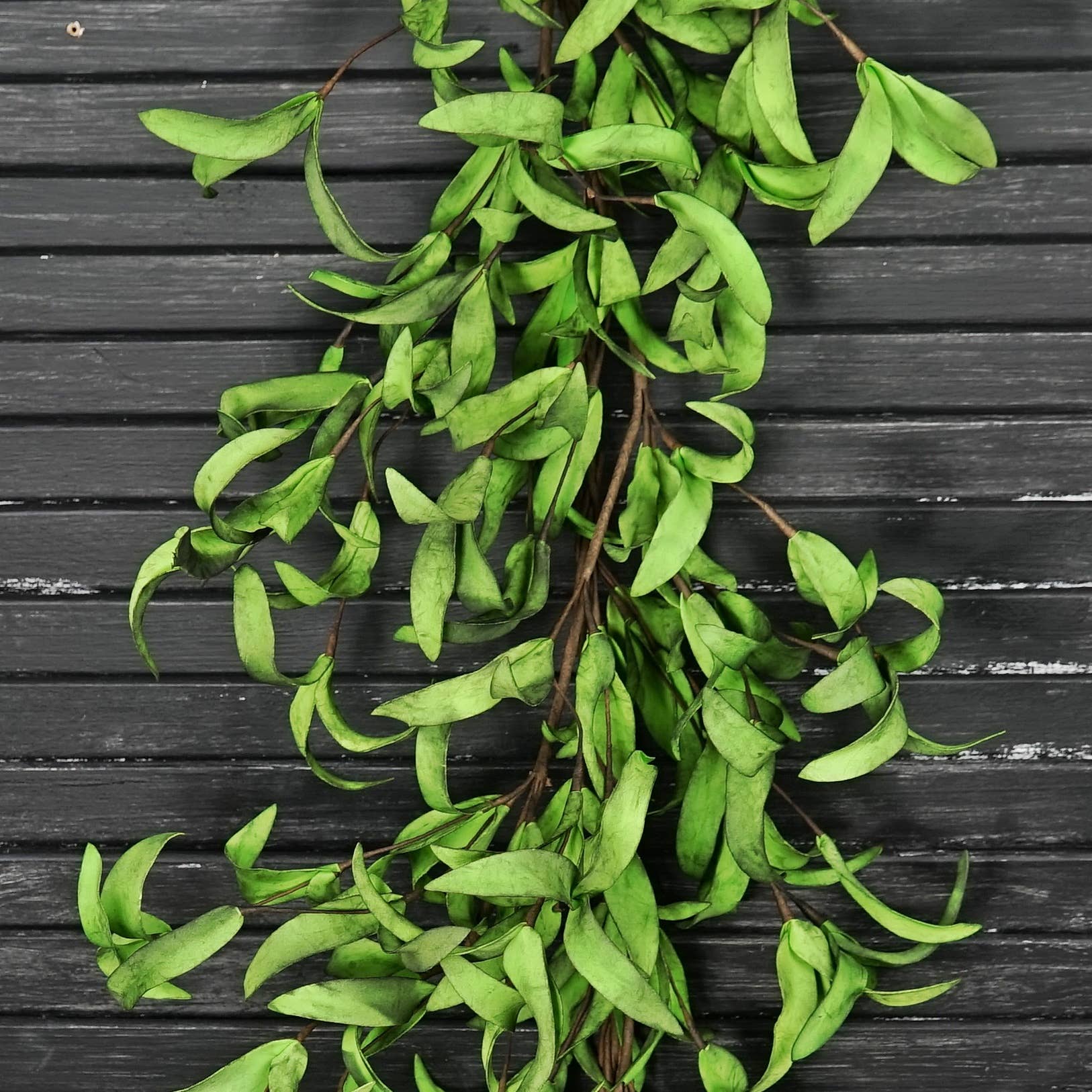 Impressive Enterprises, Inc. - ISB68581- 4ft Garland-Mix Green Herbs