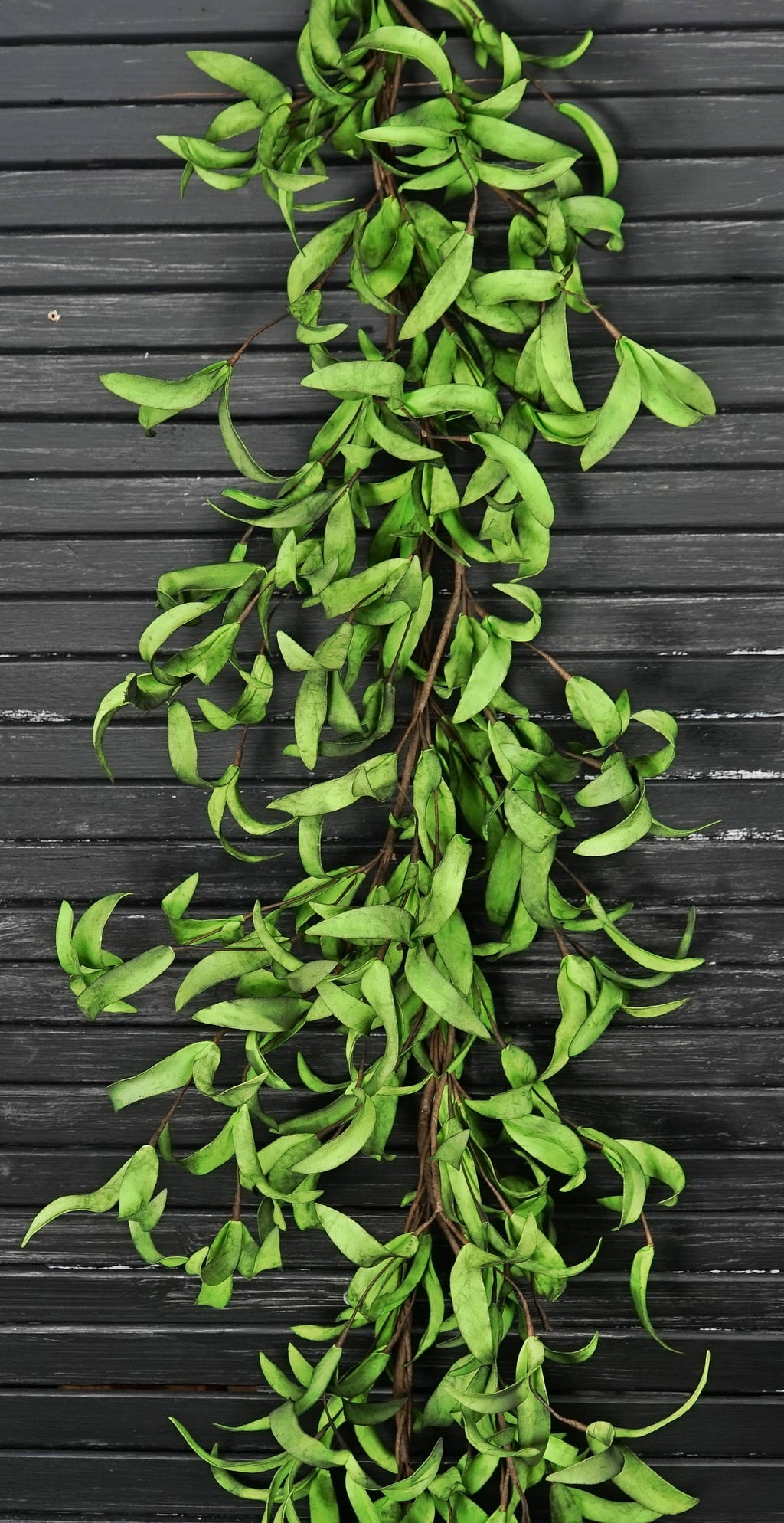 Impressive Enterprises, Inc. - ISB68581- 4ft Garland-Mix Green Herbs