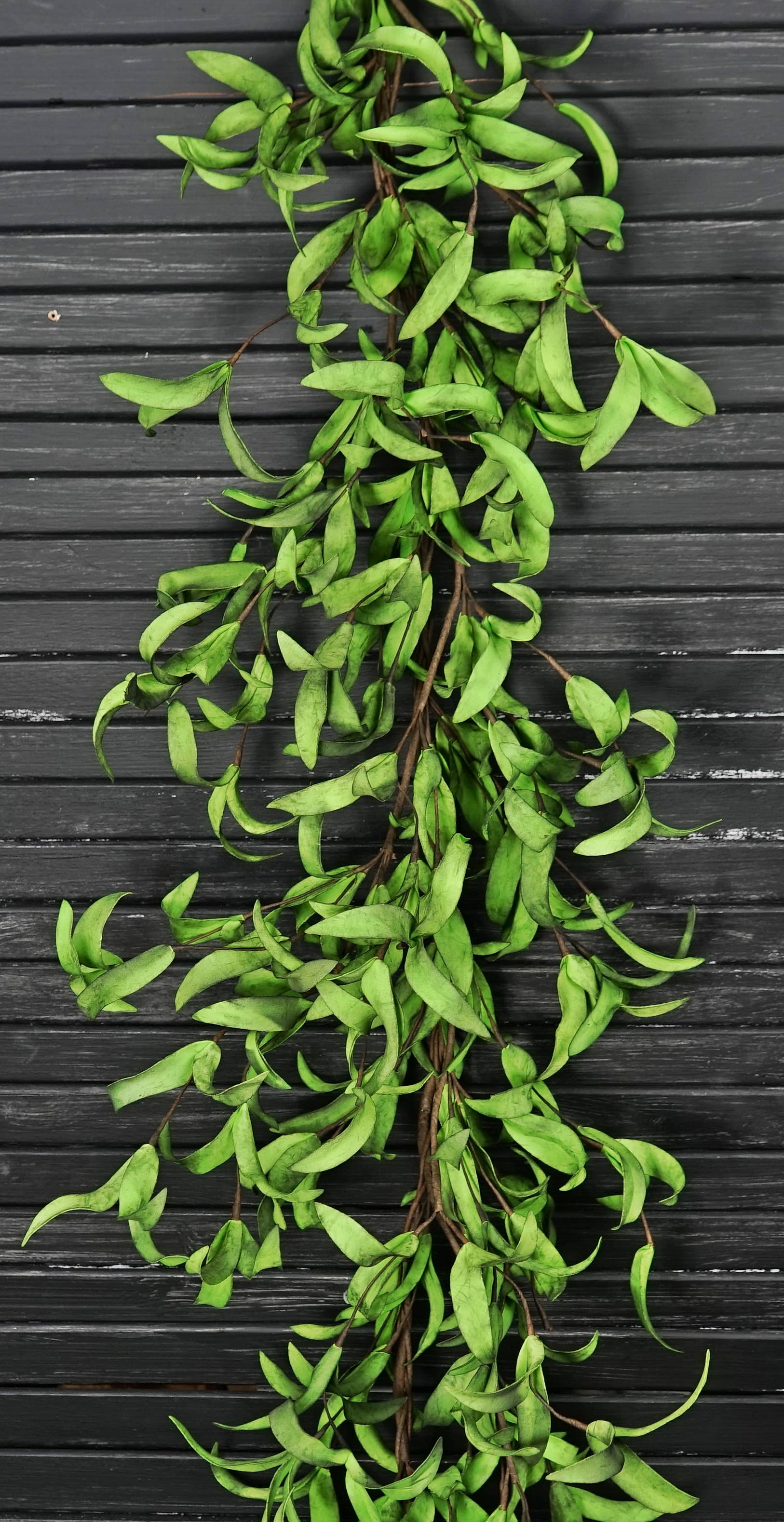 Impressive Enterprises, Inc. - ISB68581- 4ft Garland-Mix Green Herbs