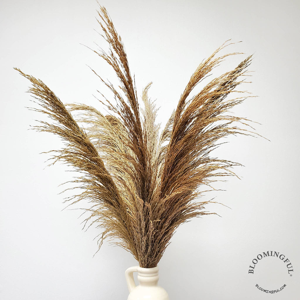 No-Shed Silky Large Pampas (3-4ft) - Natural Beige