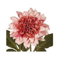 Factory Direct Craft - 28" Pink Dahlia Artificial Flower Stem