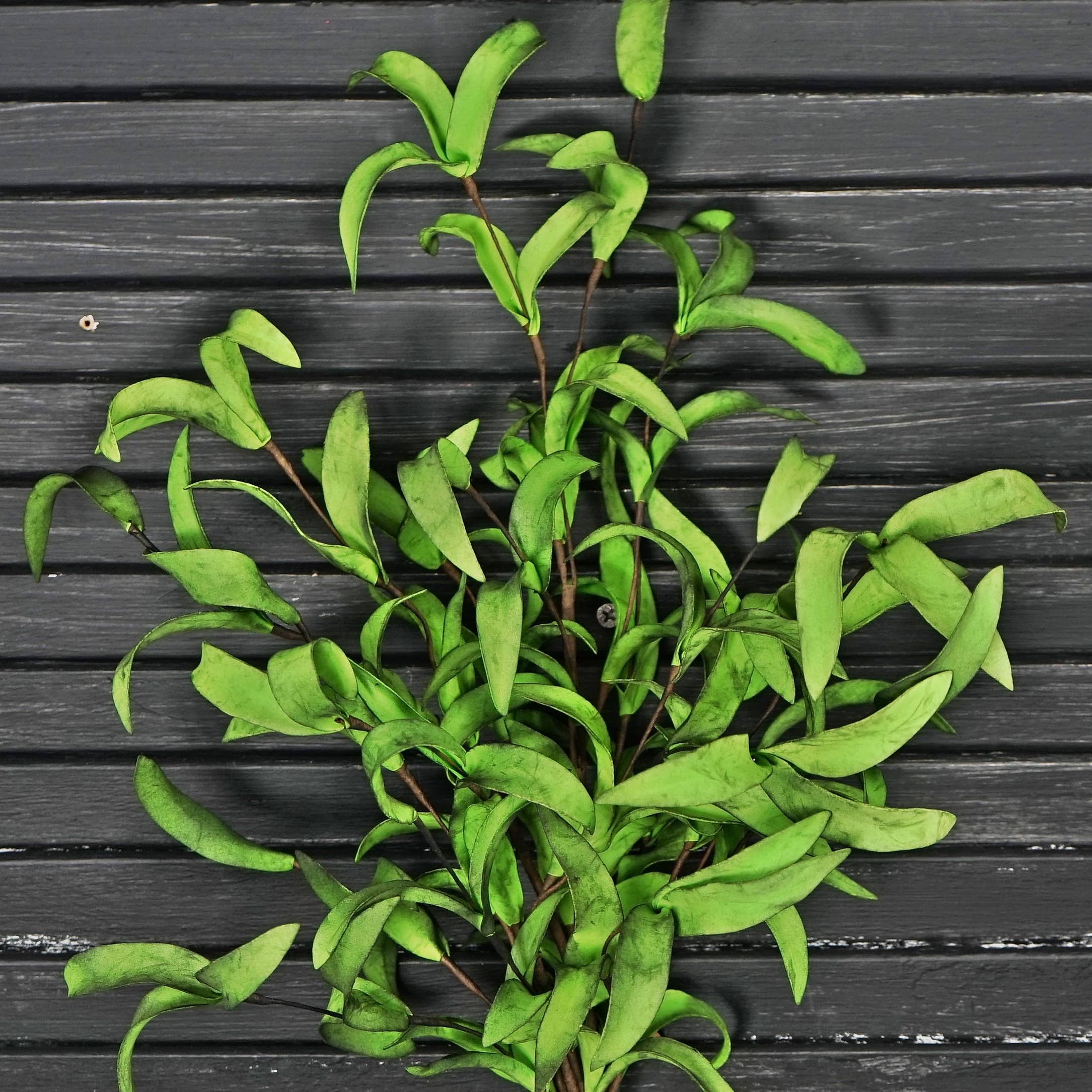 Impressive Enterprises, Inc. - ISB68585- 24in Spray -Mix Green Herbs
