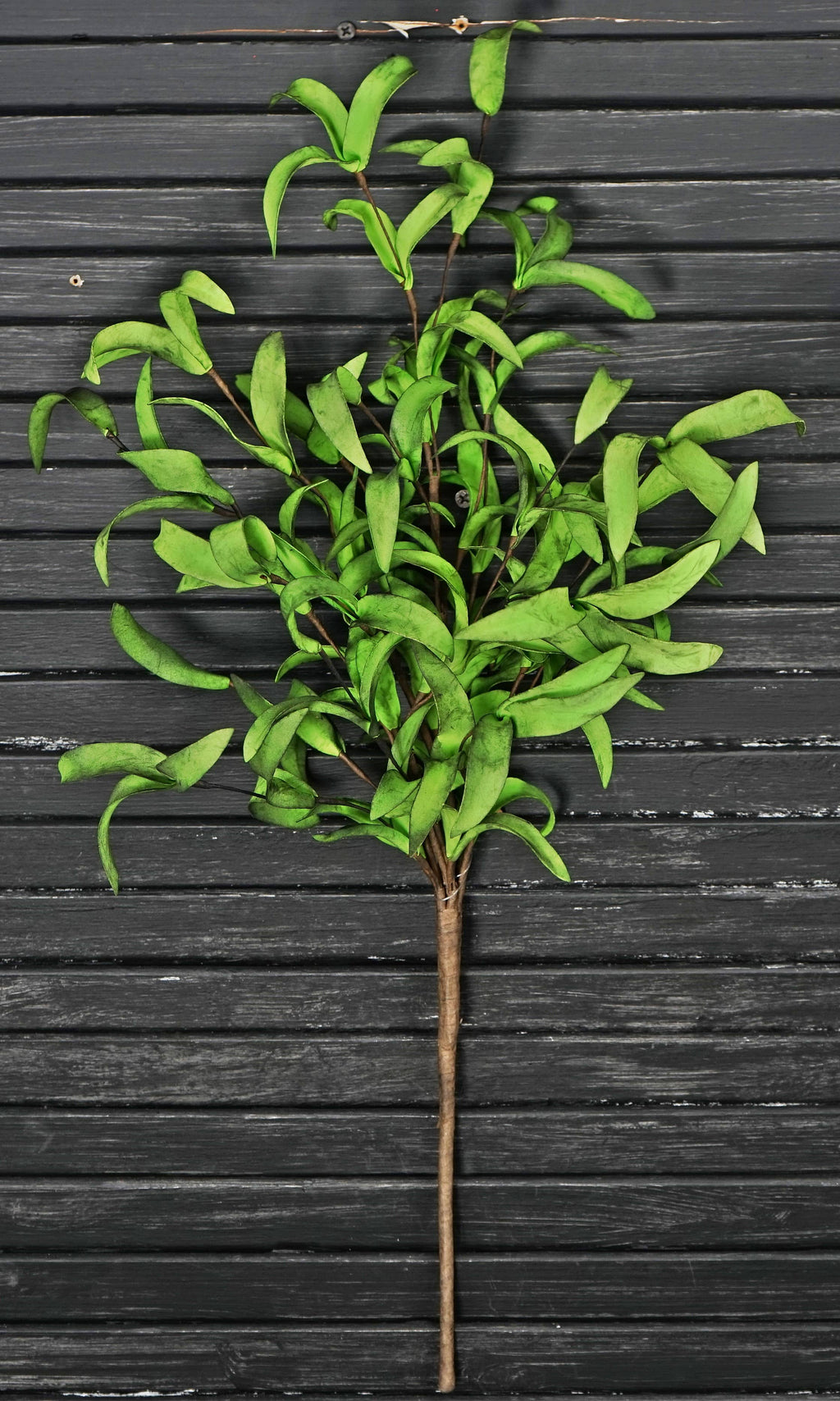 Impressive Enterprises, Inc. - ISB68585- 24in Spray -Mix Green Herbs