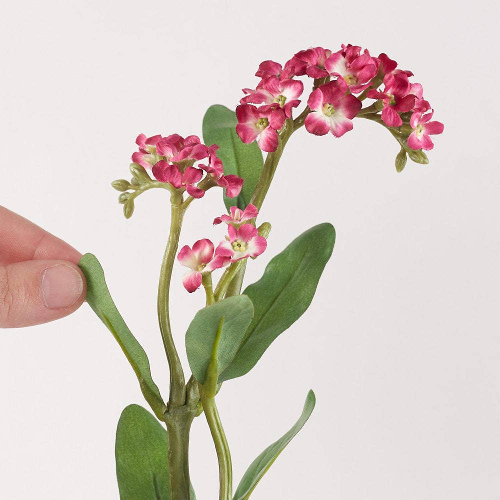 Factory Direct Craft - 22" Fuchsia Artificial Forget Me Nots Stem