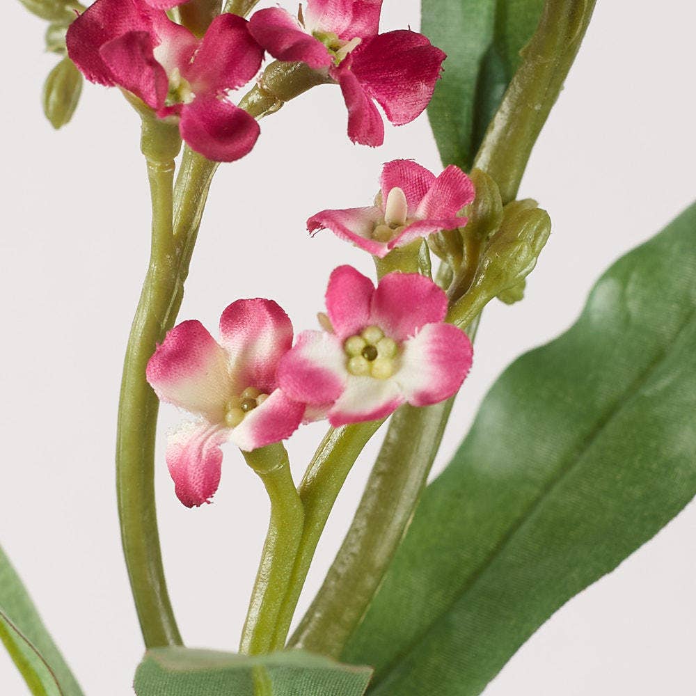 Factory Direct Craft - 22" Fuchsia Artificial Forget Me Nots Stem