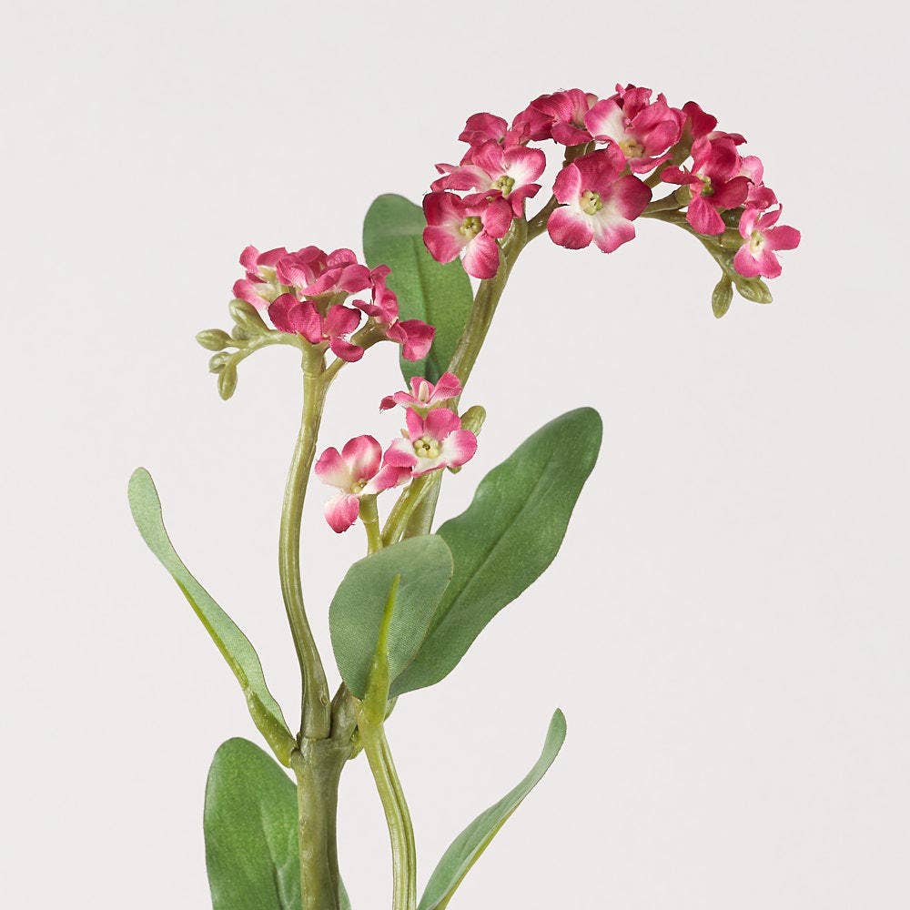 Factory Direct Craft - 22" Fuchsia Artificial Forget Me Nots Stem