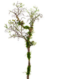 American Best - 36" TWIG MOSS BRANCH - GREEN BROWN