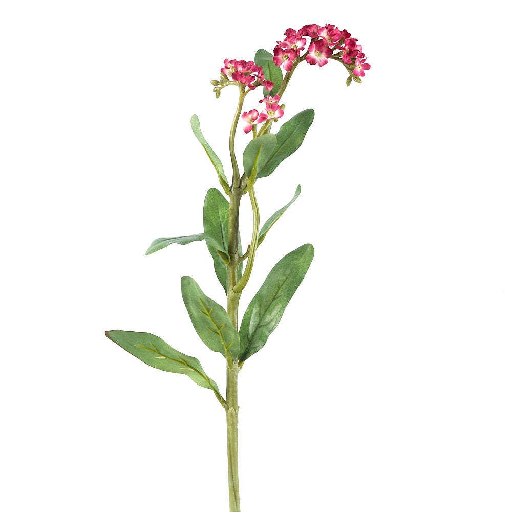 Factory Direct Craft - 22" Fuchsia Artificial Forget Me Nots Stem